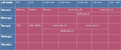جدول الاسبوع الرابع