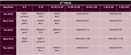MSS 2