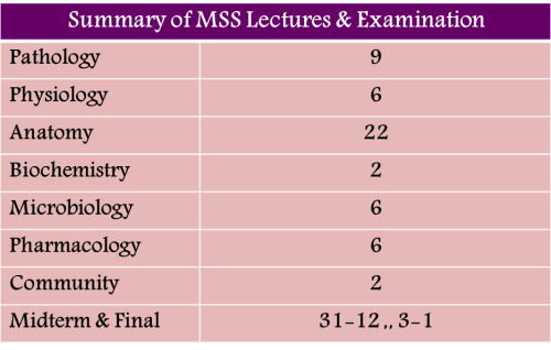 lectures summary