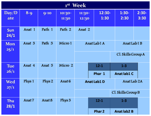 1st week