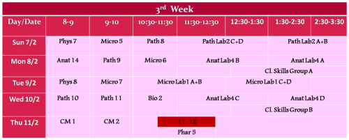 3rd week