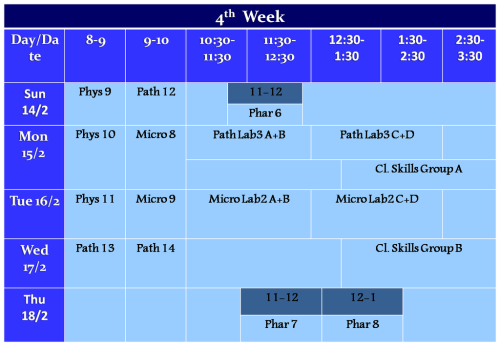 4th week
