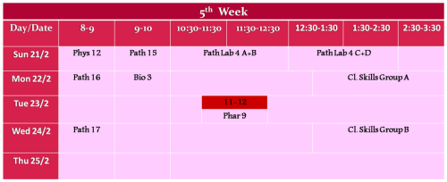 5th week