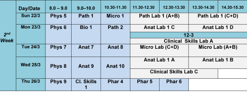 2nd week