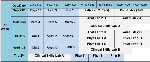 3rd week