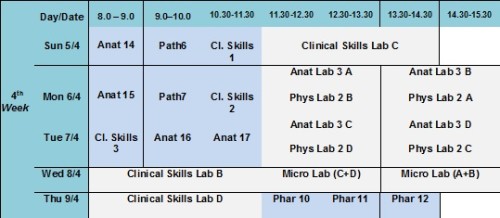 4th week