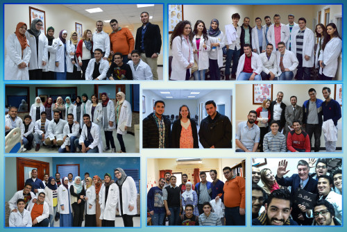 Pulse Batch - 2015 - Clinical Skills